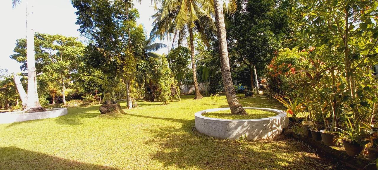 Bat Tree Cottages Agoho Extérieur photo