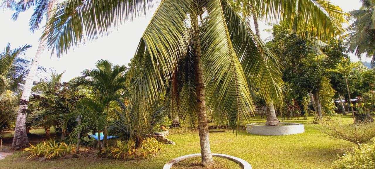 Bat Tree Cottages Agoho Extérieur photo